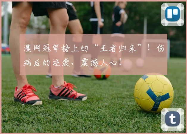 澳网冠军榜上的“王者归来”！伤病后的逆袭，震撼人心！