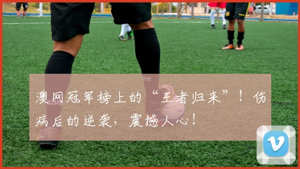 澳网冠军榜上的“王者归来”！伤病后的逆袭，震撼人心！