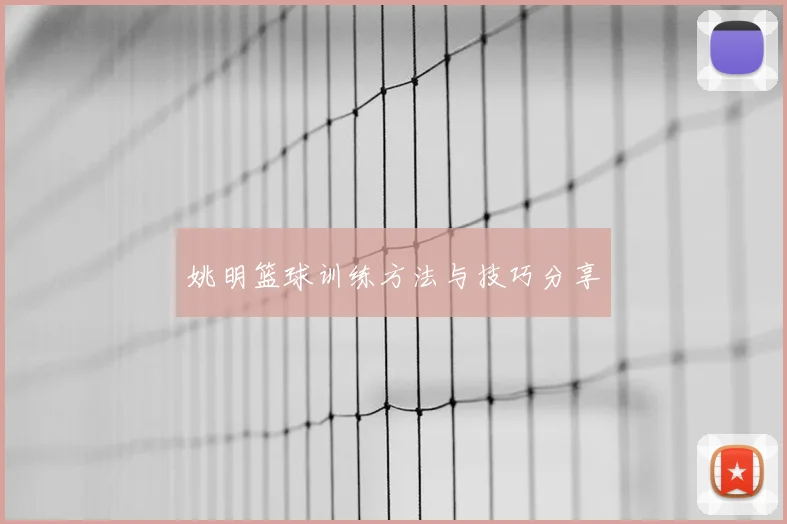 姚明篮球训练方法与技巧分享